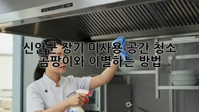 신안군 장기 미사용 공간 청소: 곰팡이와 이별하는 방법